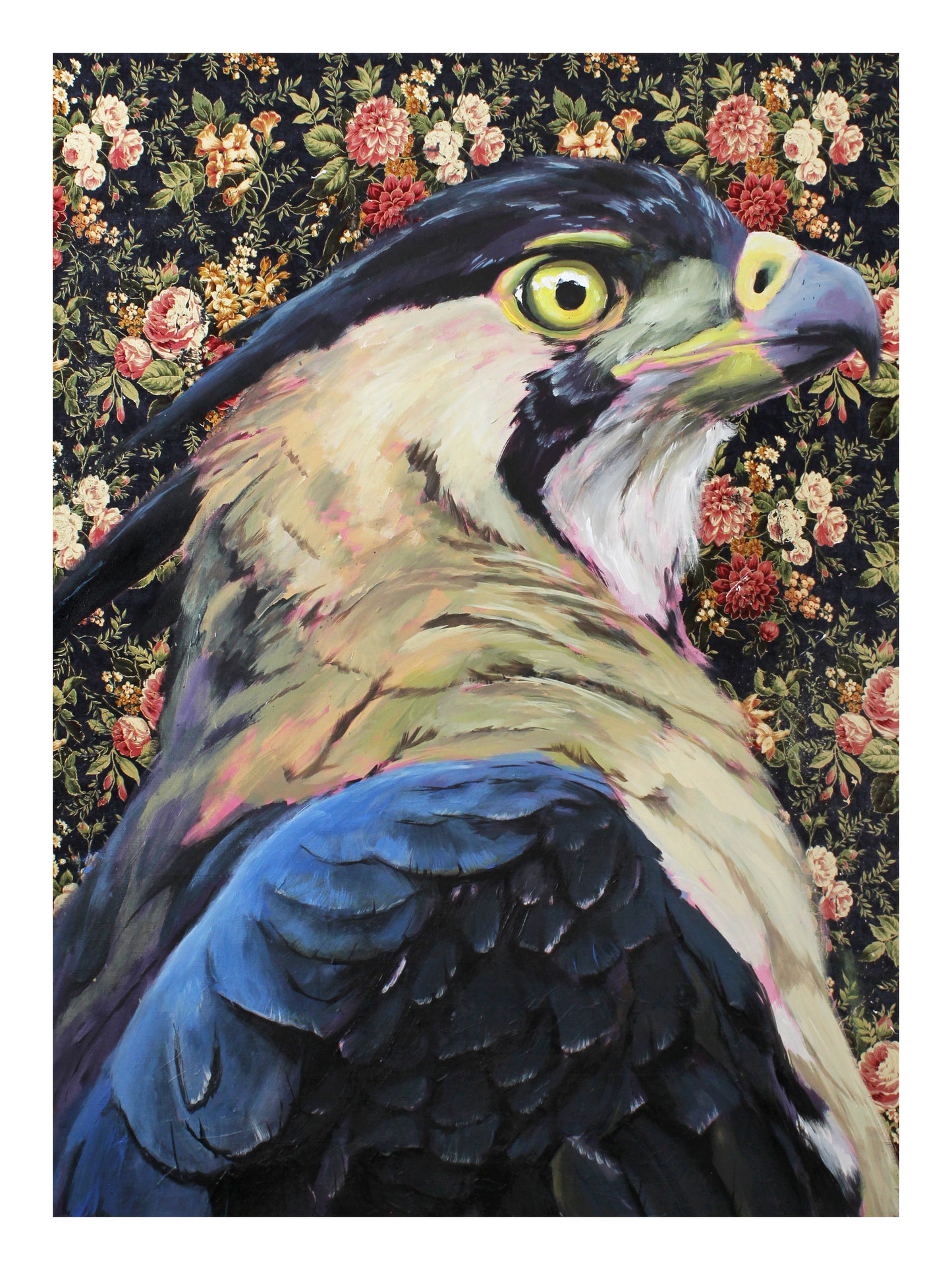 Ornate Eagle Hawk Print 9x12