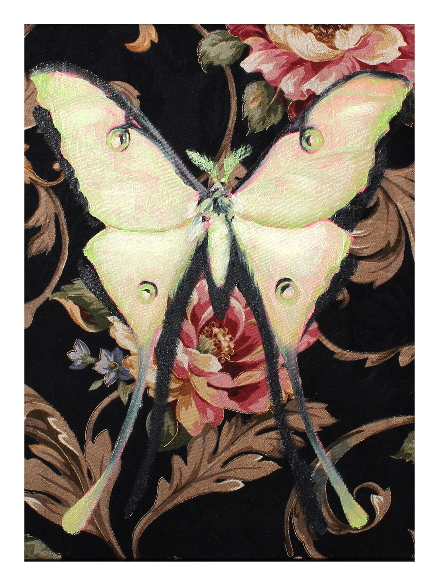 Lunar Moth Print 9x12