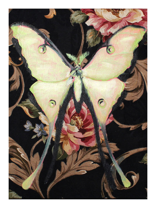Lunar Moth Print 9x12